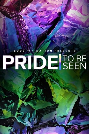 PRIDE: To Be Seen - A Soul of a Nation Presentation poszter