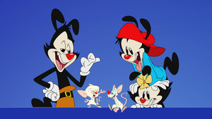 Animaniacs kép