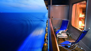 Cruise Ship Diaries kép