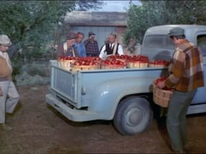 Green Acres Season 6 Ep.8 8. epizód