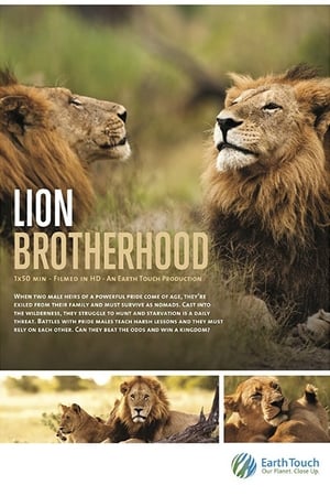 Lion Brotherhood poszter