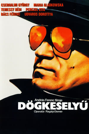 Dögkeselyű