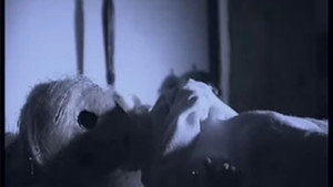 Haunt háttérkép