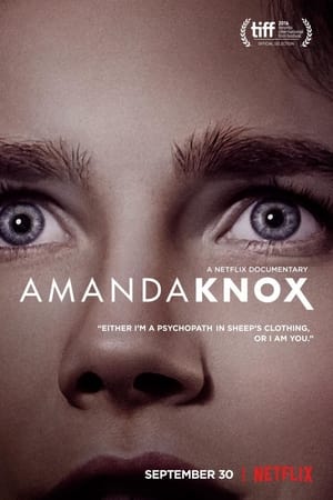 Amanda Knox poszter