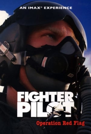 Fighter Pilot: Operation Red Flag poszter