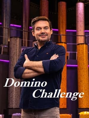 Domino Challenge poszter