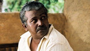 සැමීගේ කතාව háttérkép