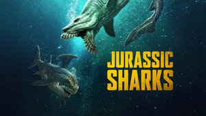 Jurassic cápák háttérkép