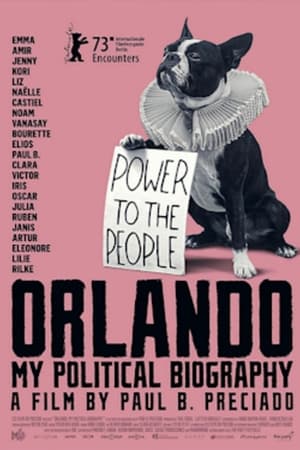 Orlando, ma biographie politique poszter