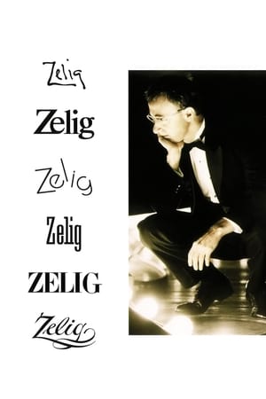 Zelig poszter