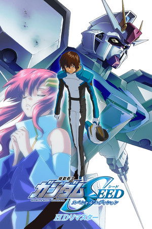 機動戦士ガンダムSEED スペシャルエディション 虚空の戦場 poszter