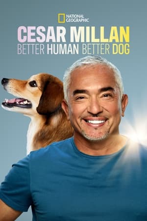 Cesar Millan: Jó gazdi, jó kutya