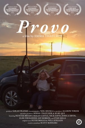 Provo poszter