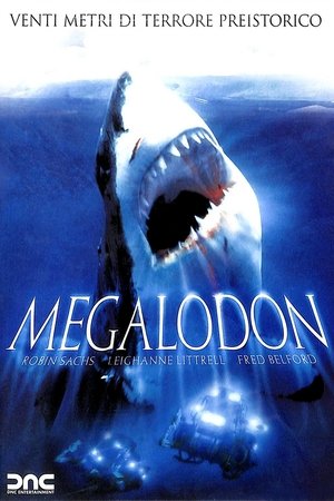 Megalodon poszter