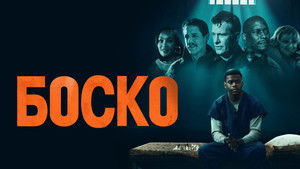 Bosco háttérkép