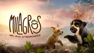 Milagros: Una osa extraordinaria háttérkép