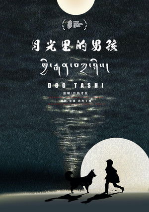 月光里的男孩 poszter