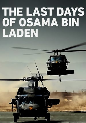 Bin Laden utolsó napjai poszter