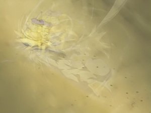 Beyblade 1. évad Ep.10 10. epizód