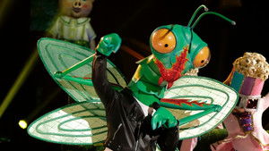 The Masked Singer 9. évad Ep.8 8. epizód