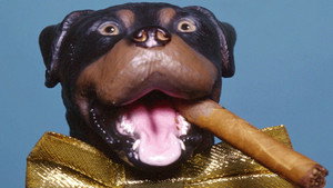 Late Night with Conan O'Brien: The Best of Triumph the Insult Comic Dog háttérkép