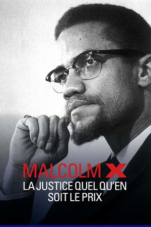 Malcolm X, la justice quel qu'en soit le prix poszter
