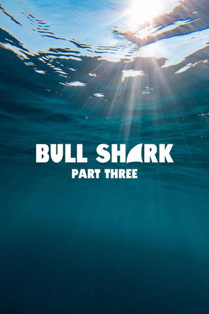 Bull Shark 3 poszter