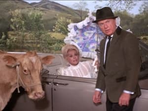 Green Acres Season 4 Ep.7 7. epizód