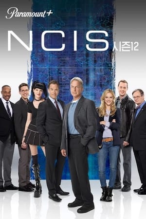 NCIS poszter