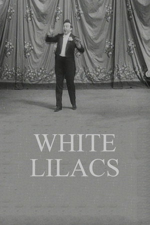 Lilas blanc poszter