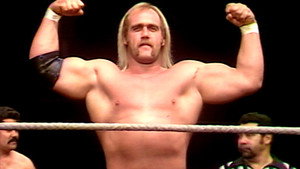 WWF All-Star Wrestling kép