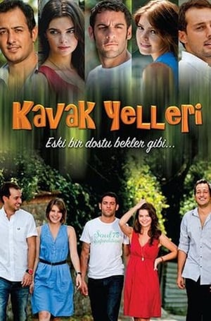 Kavak Yelleri