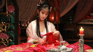 芙蓉诀 kép