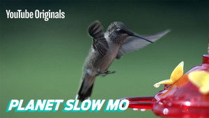 Planet Slow Mo Season 1 Ep.10 10. epizód