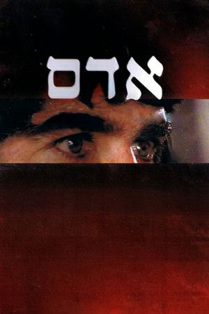 אדם poszter