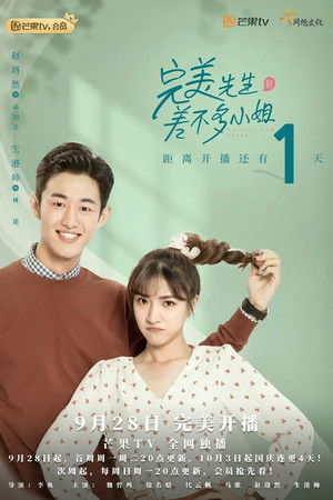 完美先生和差不多小姐 poszter