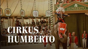 Zirkus Humberto kép