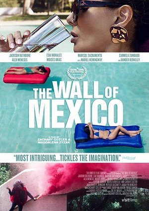 The Wall of Mexico poszter