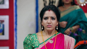 சின்னதம்பி Season 1 Ep.29 29. epizód