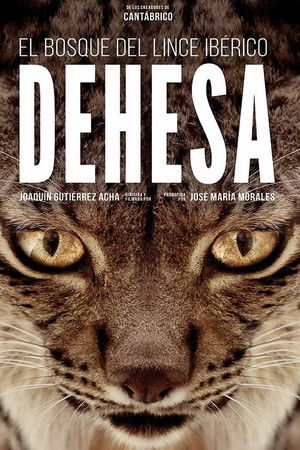 Dehesa: el bosque del lince ibérico poszter