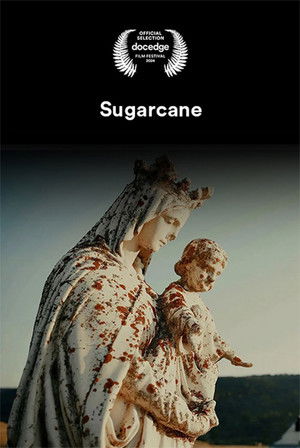Sugarcane: Az eltemetett igazság poszter