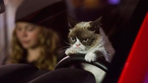 Grumpy Cat legrosszabb karácsonya háttérkép