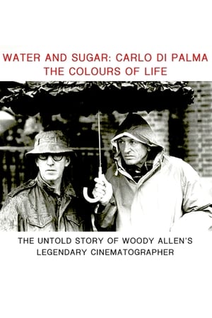 Acqua e zucchero: Carlo Di Palma, i colori della vita poszter