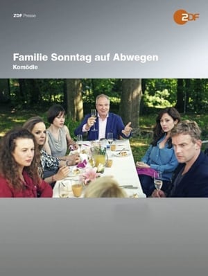 Familie Sonntag auf Abwegen poszter