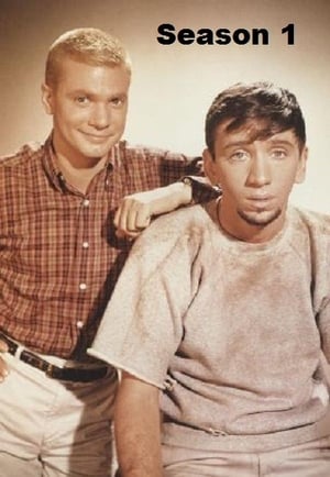 The Many Loves of Dobie Gillis