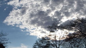 Clouds and Trees háttérkép