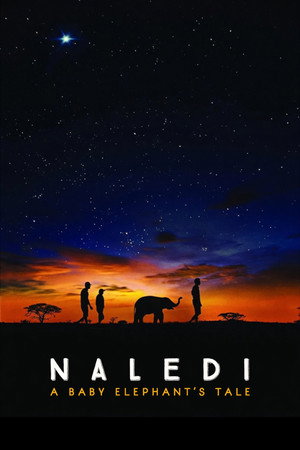 Naledi: A Baby Elephant's Tale poszter