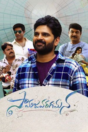సామజవరగమన poszter