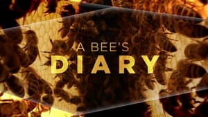 A Bee's Diary háttérkép