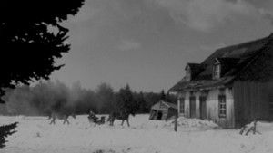 Le gros Bill háttérkép